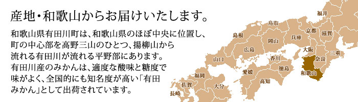 有田みかん 特秀品 和歌山県産温州みかん 送料無料 糖度12度以上 | 日本ロイヤルガストロ倶楽部