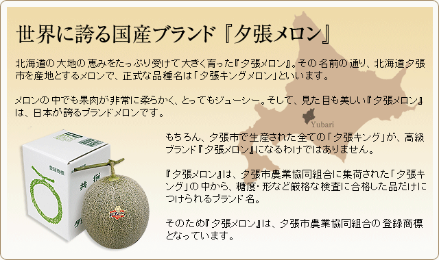 夕張メロン 北海道産 共撰品 優 送料無料 糖度11度保証 日本ロイヤルガストロ倶楽部