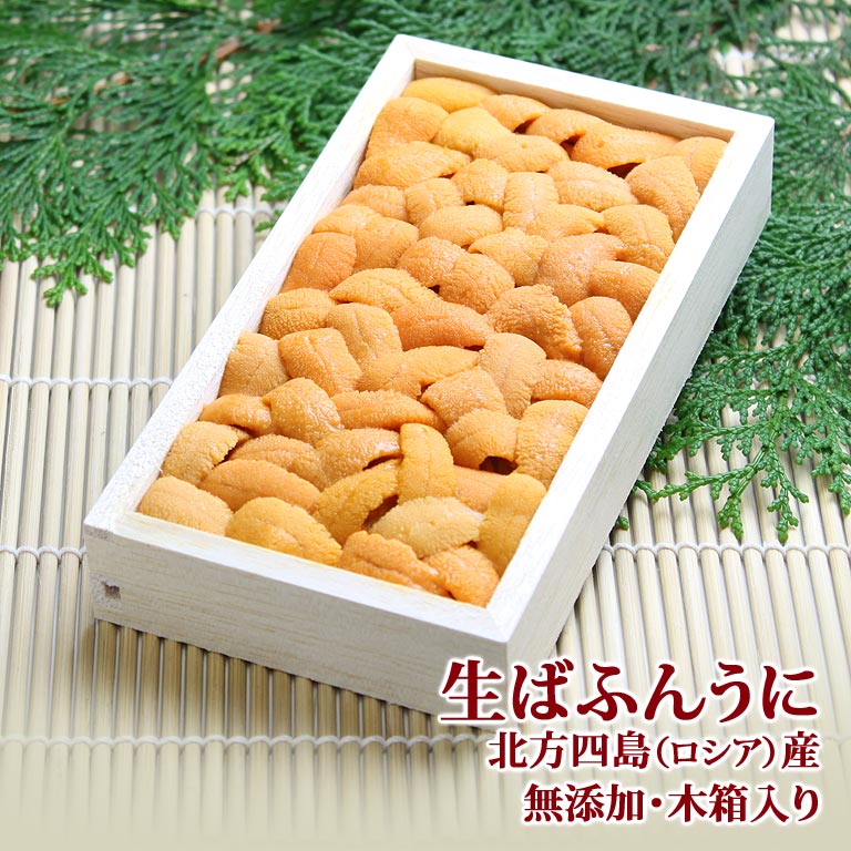 無添加 生ばふんうに(馬糞海胆) 北方四島(ロシア)産 木箱入り 送料無料